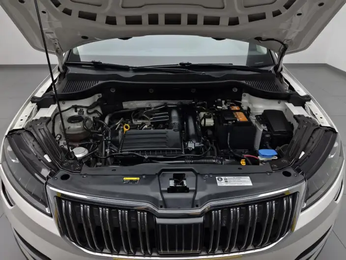 Karoq 2020 Model TSI280 Zhixing Deluxe Edition – фото 10