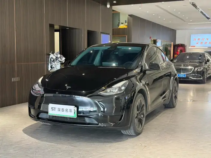 Model Y 2022 Model Rear-wheel drive version – фото 1
