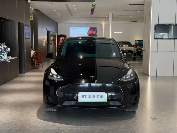 Model Y 2022 Model Rear-wheel drive version – фото 2