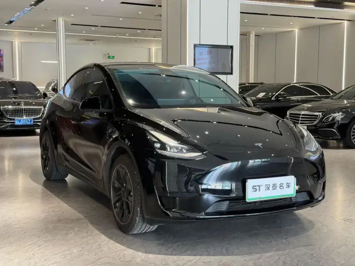 Model Y 2022 Model Rear-wheel drive version – фото 3