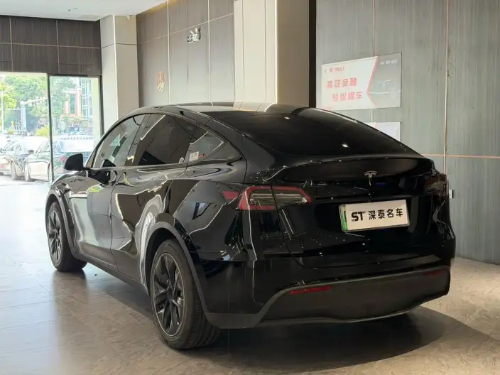 Model Y 2022 Model Rear-wheel drive version – фото 4
