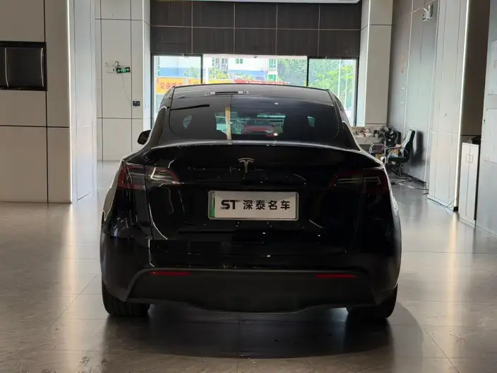 Model Y 2022 Model Rear-wheel drive version – фото 5