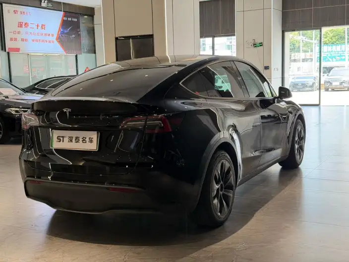 Model Y 2022 Model Rear-wheel drive version – фото 6