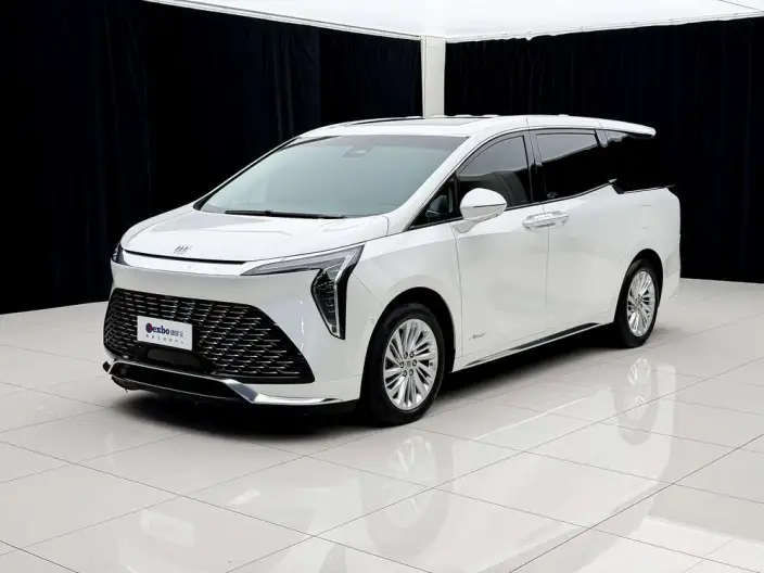 Century 2023 Model 2.0T VI seat Yunshi Edition – фото 1