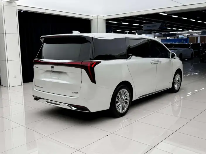 Century 2023 Model 2.0T VI seat Yunshi Edition – фото 4