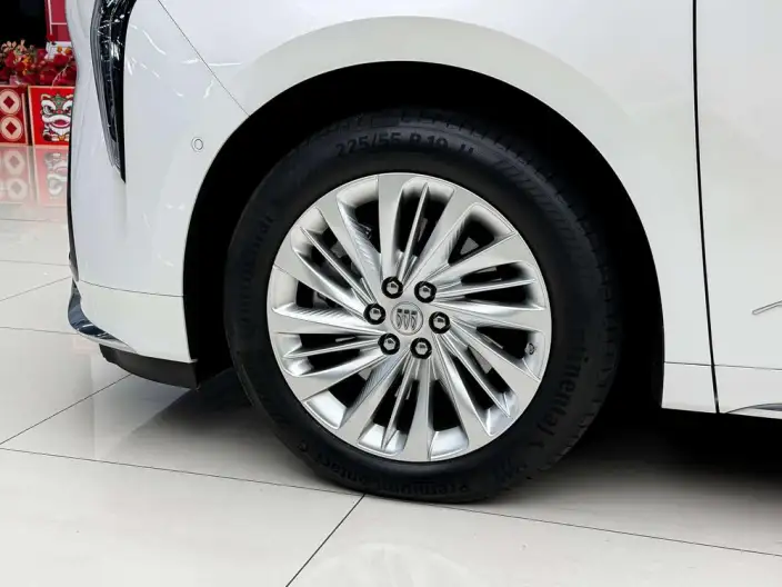 Century 2023 Model 2.0T VI seat Yunshi Edition – фото 9
