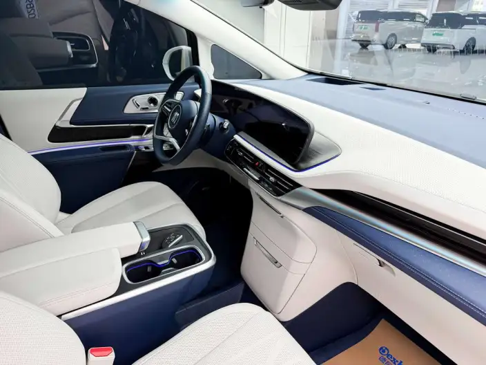 Century 2023 Model 2.0T VI seat Yunshi Edition – фото 10