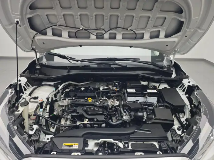 Frontlander 2023 Model 2.0L CVT Elite Edition – фото 10