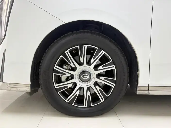 GAC Trumpchi E9 PHEV 2023 Model 2.0TM MAX – фото 9