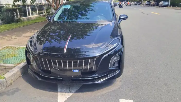 Hongqi E-QM5 2024 Model 560KM PLUS Edition 100kW – фото 6