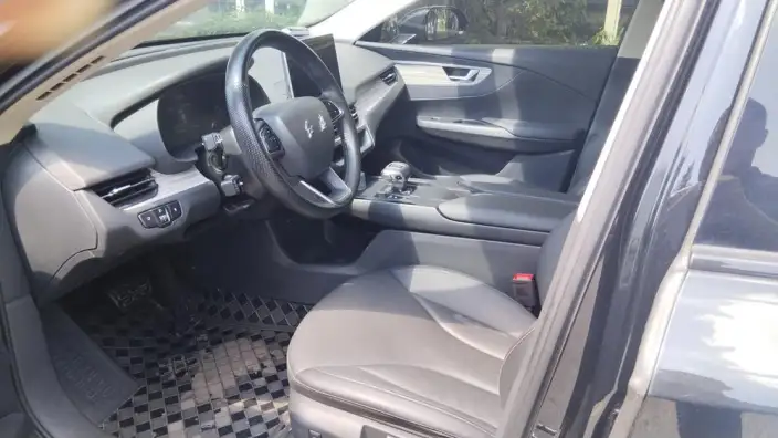 Hongqi E-QM5 2024 Model 560KM PLUS Edition 100kW – фото 8