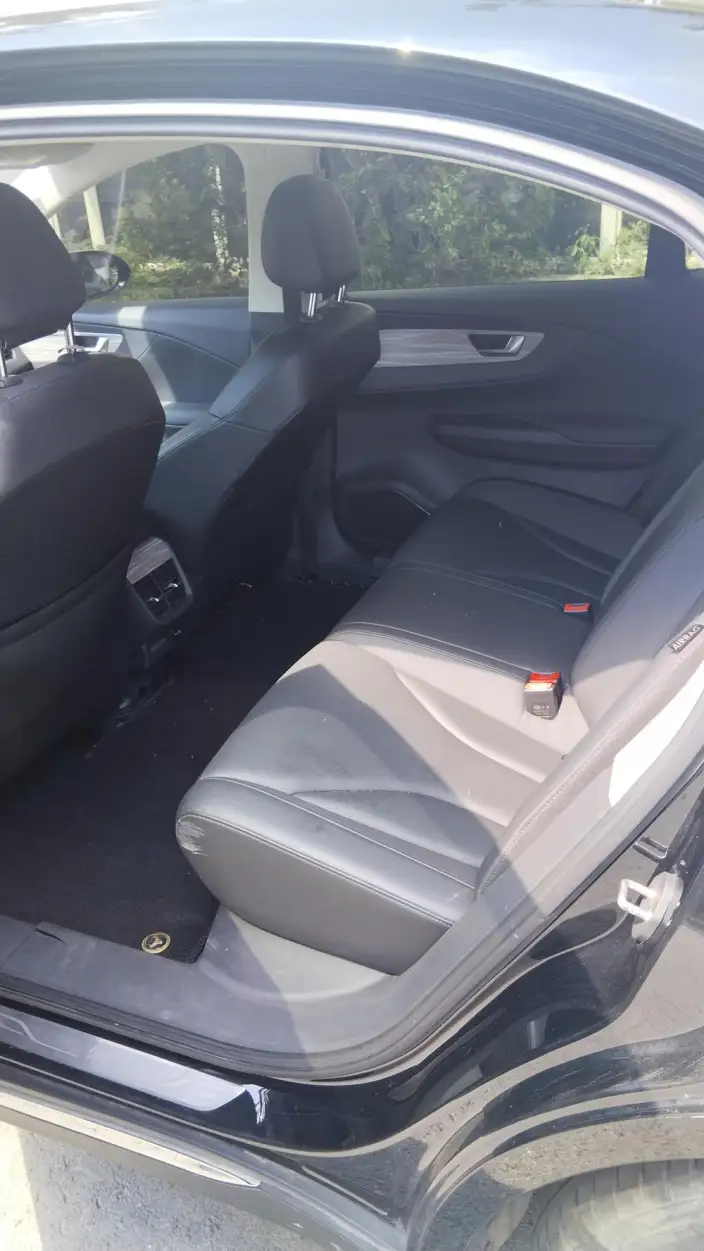 Hongqi E-QM5 2024 Model 560KM PLUS Edition 100kW – фото 9