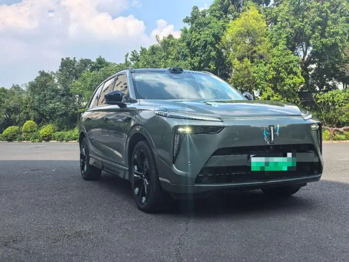 Wey Blue Mountain 2025 Model 4WD Max – фото 3