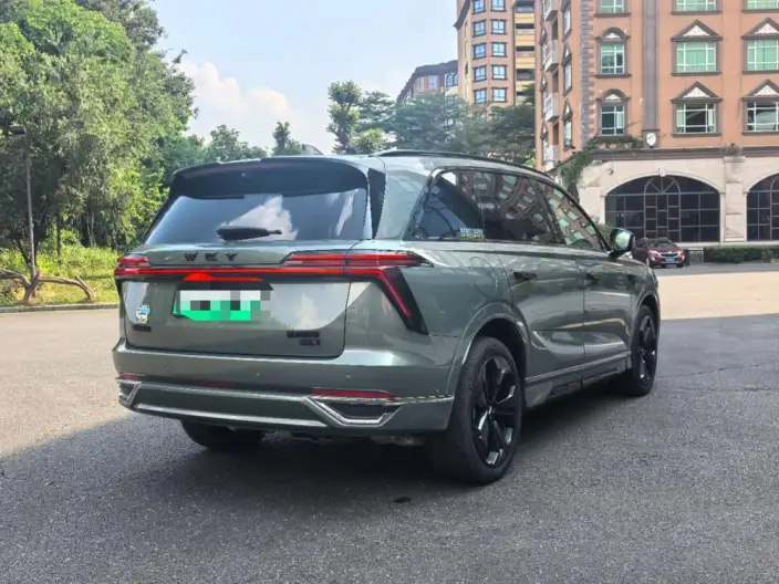 Wey Blue Mountain 2025 Model 4WD Max – фото 6