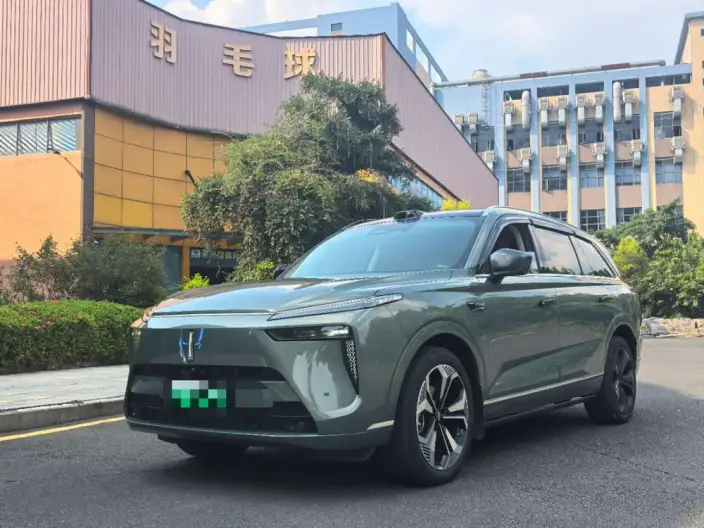 Wey Blue Mountain 2025 Model 4WD Max – фото 10