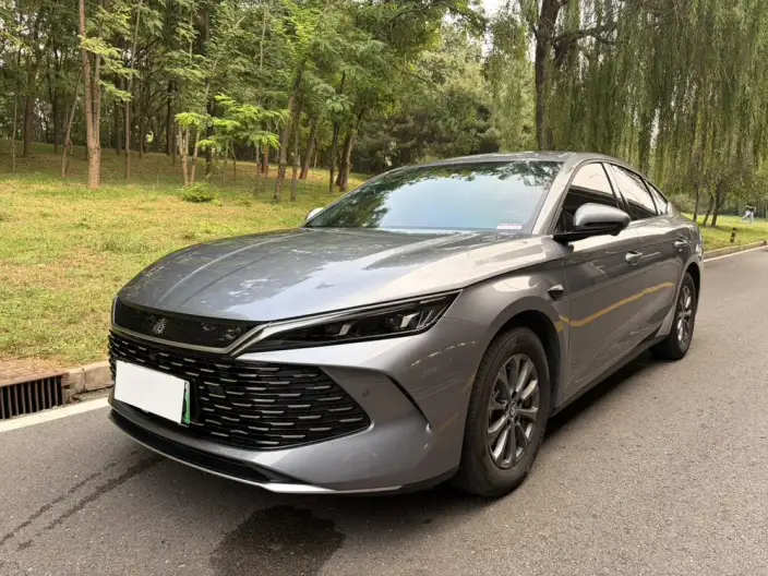 QinL DM 2025 Model Smart Driving Edition DM-i 80KM Leading Model – фото 1