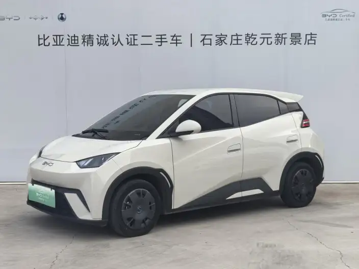 BYD Seagull 2025 Model Smart Driving Edition 305KM Vitality Edition – фото 1