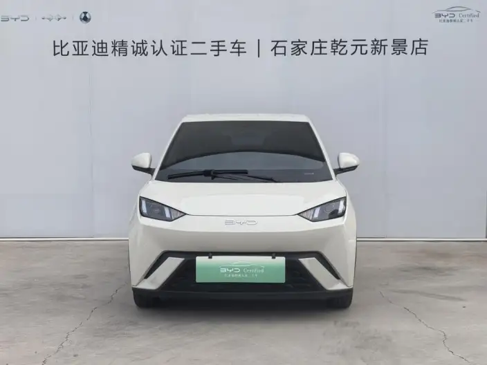 BYD Seagull 2025 Model Smart Driving Edition 305KM Vitality Edition – фото 2