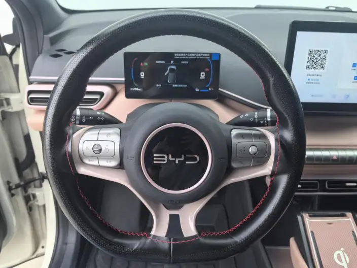 BYD Seagull 2025 Model Smart Driving Edition 305KM Vitality Edition – фото 8