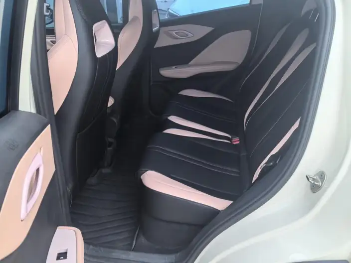 BYD Seagull 2025 Model Smart Driving Edition 305KM Vitality Edition – фото 10