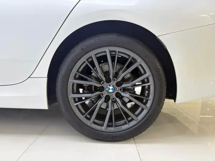 BMW 3 Series 2022 Model 325Li M Sports Night Set – фото 7