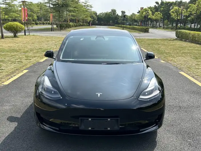 Model 3 2021 Model Standard Battery Life Rear Drive L Class Edition – фото 2