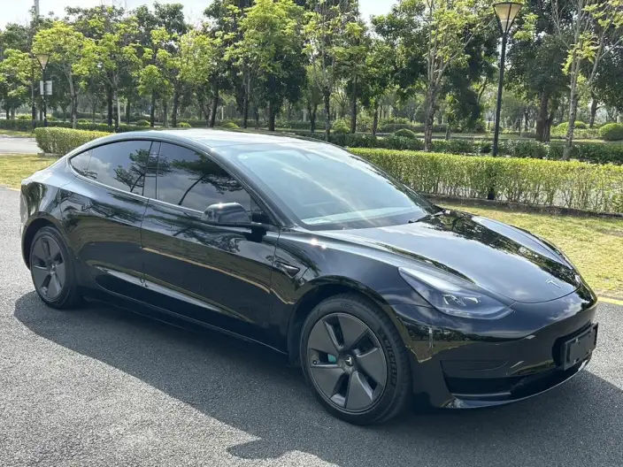 Model 3 2021 Model Standard Battery Life Rear Drive L Class Edition – фото 3