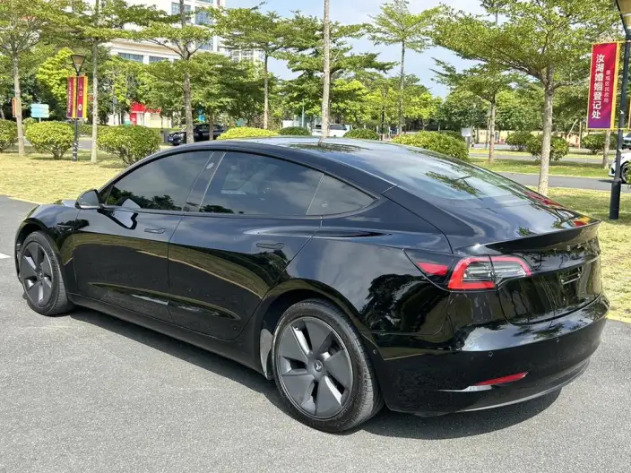 Model 3 2021 Model Standard Battery Life Rear Drive L Class Edition – фото 4