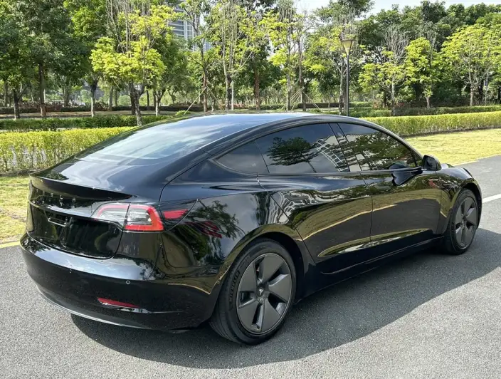 Model 3 2021 Model Standard Battery Life Rear Drive L Class Edition – фото 6