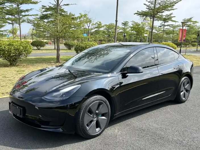 Model 3 2021 Model Standard Battery Life Rear Drive L Class Edition – фото 10