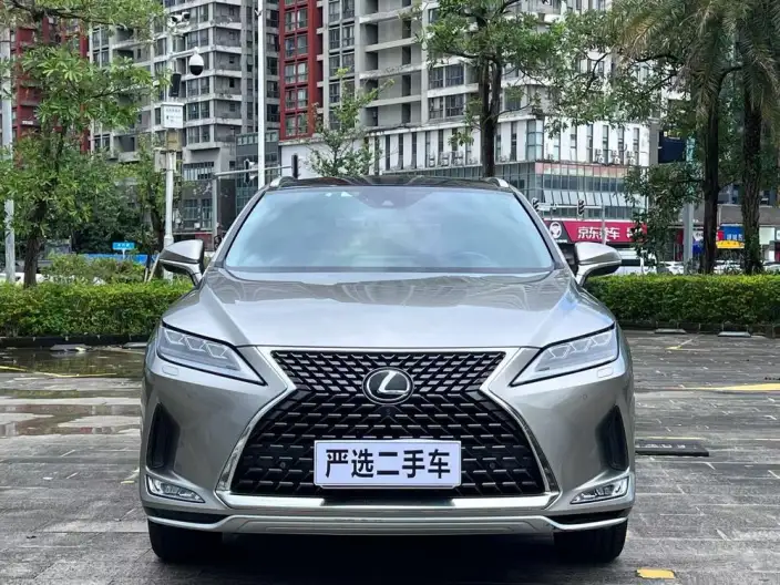 Lexus RX 2020 Model 300 4WD Elegant Edition China VI – фото 2