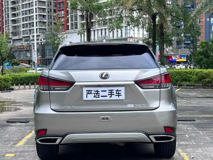 Lexus RX 2020 Model 300 4WD Elegant Edition China VI – фото 5