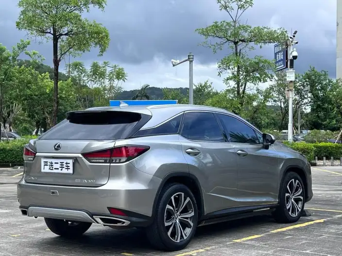 Lexus RX 2020 Model 300 4WD Elegant Edition China VI – фото 6