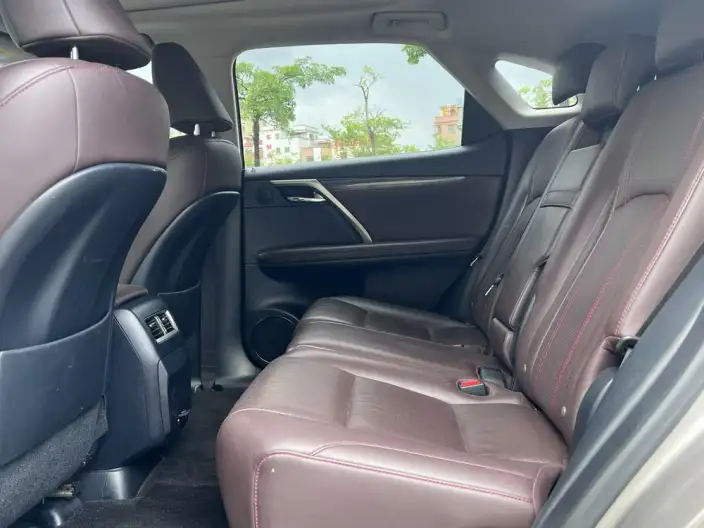 Lexus RX 2020 Model 300 4WD Elegant Edition China VI – фото 10