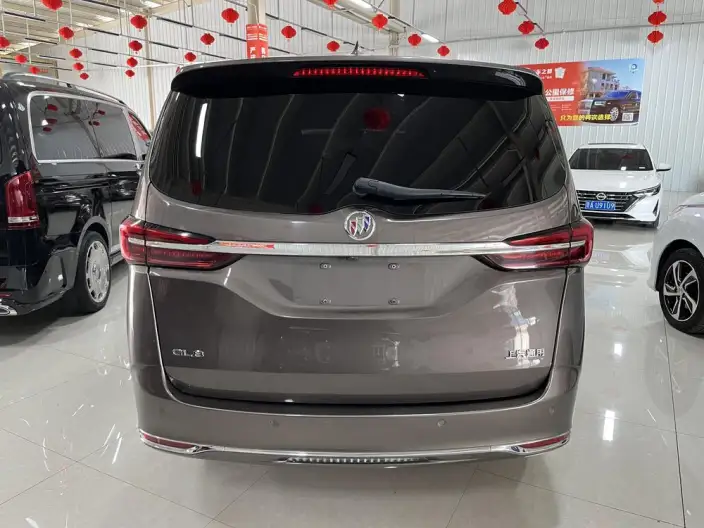 Buick GL8 2023 Model Business class 2.0T Luxury Model – фото 5
