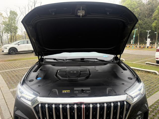 Hongqi HS5 2022 2.0T Smart Enjoy Link Flag Link 4WD – фото 7