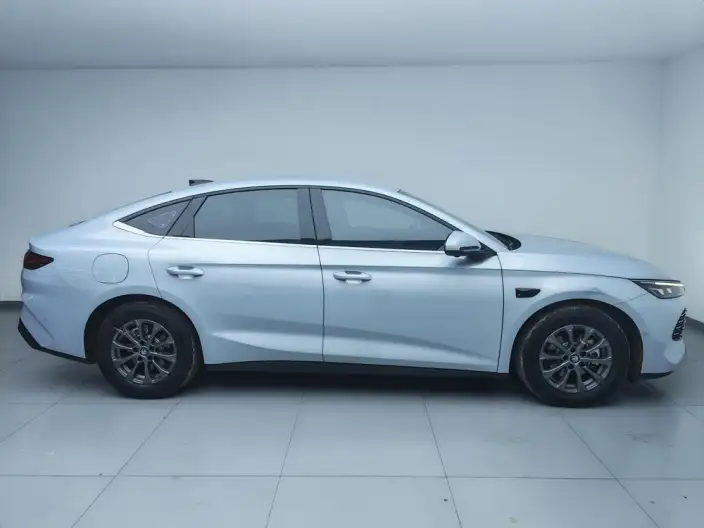 QinL DM 2025 Model Smart Driving Edition DM-i 80KM Leading Model – фото 8