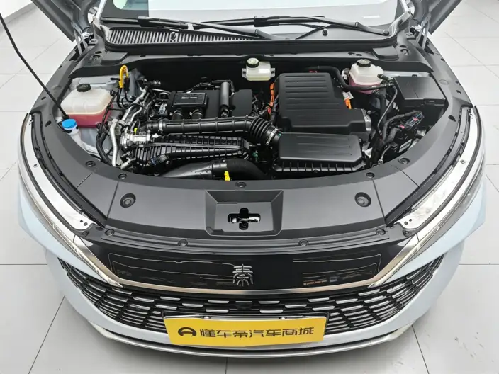 QinL DM 2025 Model Smart Driving Edition DM-i 80KM Leading Model – фото 10