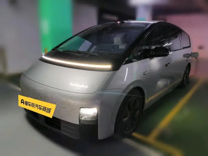 Li Auto MEGA 2025 Model Home Family Special Edition – фото 1