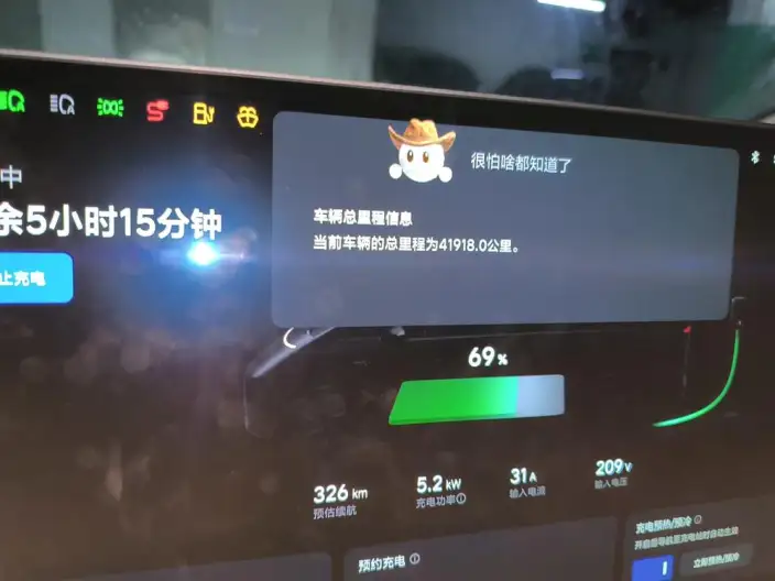 Li Auto MEGA 2025 Model Home Family Special Edition – фото 6