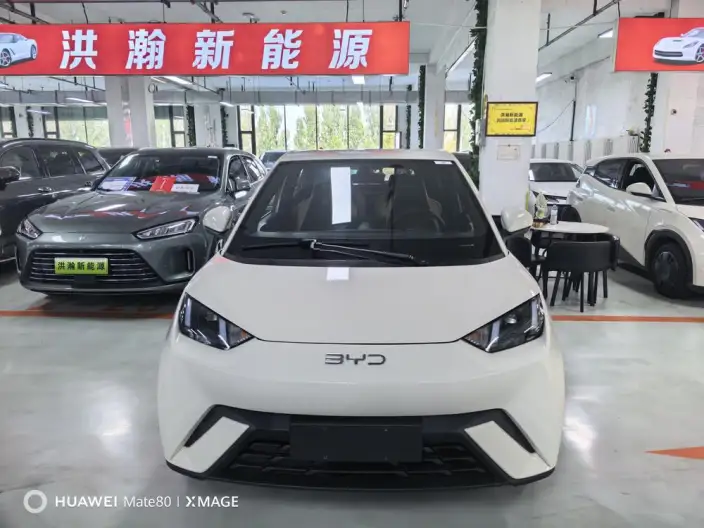 BYD Seagull 2023 Model Feixiang Edition – фото 2