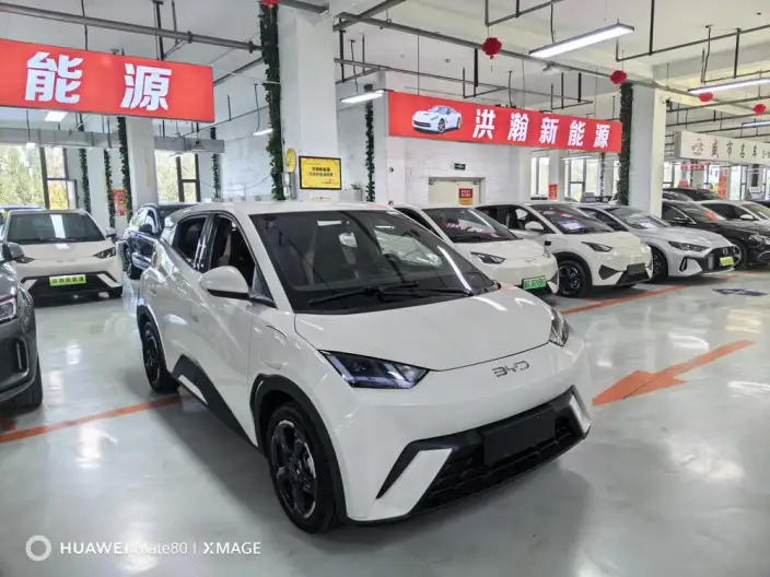 BYD Seagull 2023 Model Feixiang Edition – фото 3
