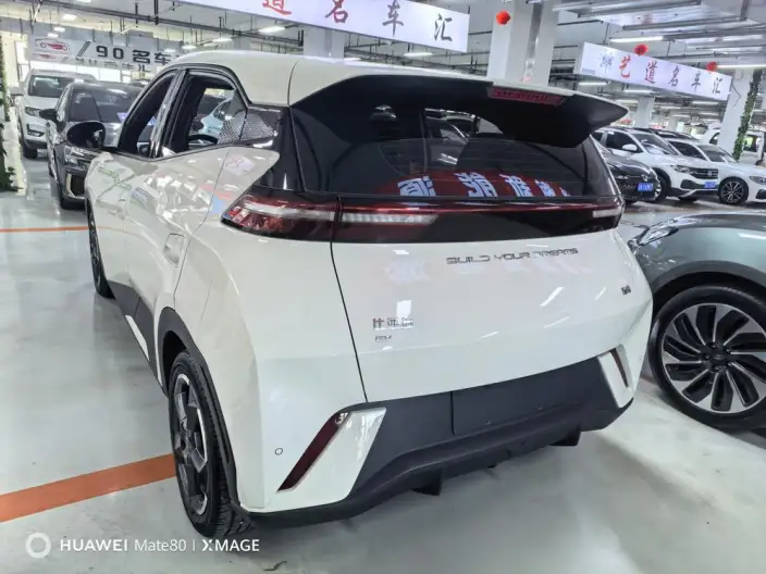 BYD Seagull 2023 Model Feixiang Edition – фото 4