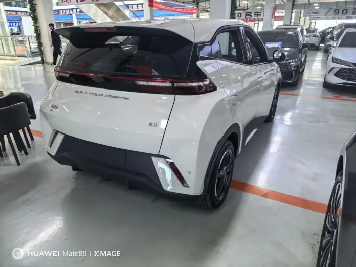 BYD Seagull 2023 Model Feixiang Edition – фото 6