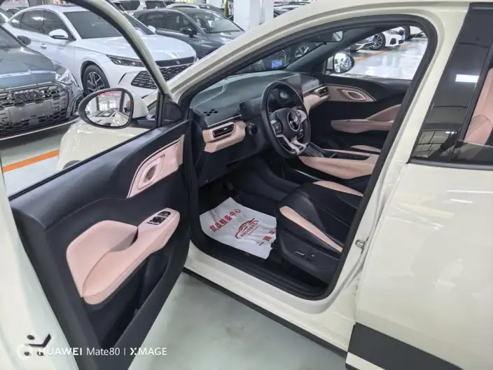 BYD Seagull 2023 Model Feixiang Edition – фото 10