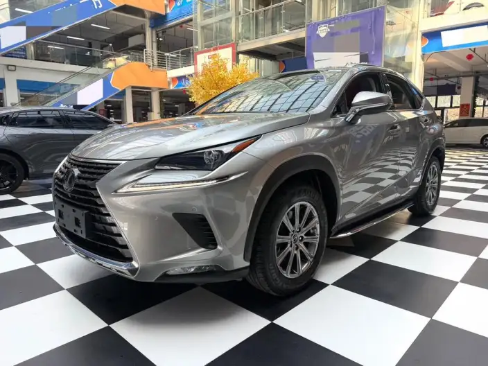 Lexus NX 2020 Model 200 Quan Drive Fengshang Edition China VI – фото 1