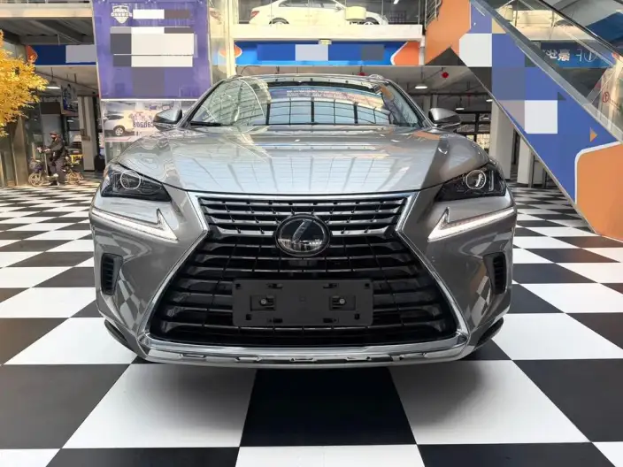 Lexus NX 2020 Model 200 Quan Drive Fengshang Edition China VI – фото 2