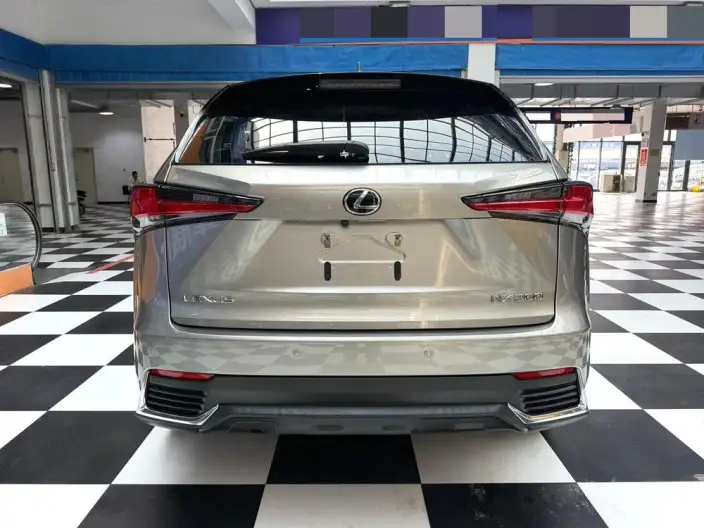 Lexus NX 2020 Model 200 Quan Drive Fengshang Edition China VI – фото 5