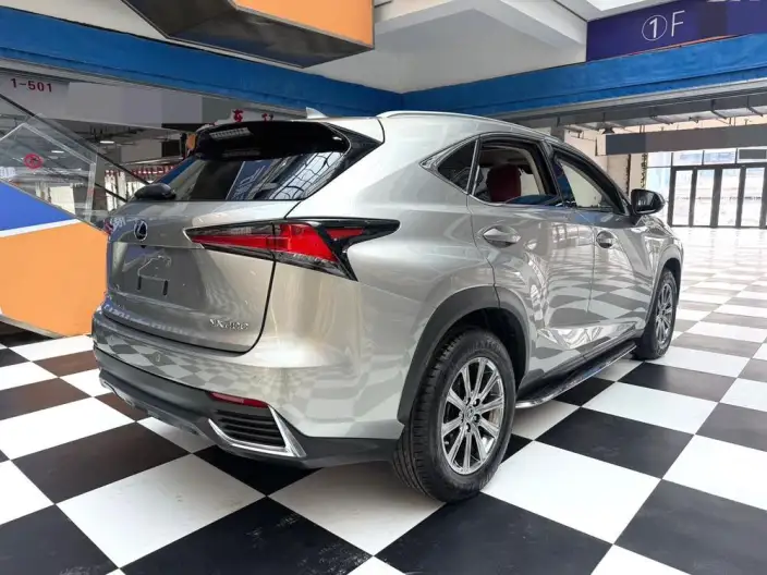 Lexus NX 2020 Model 200 Quan Drive Fengshang Edition China VI – фото 6