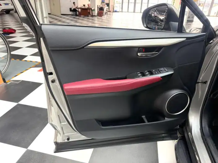 Lexus NX 2020 Model 200 Quan Drive Fengshang Edition China VI – фото 8